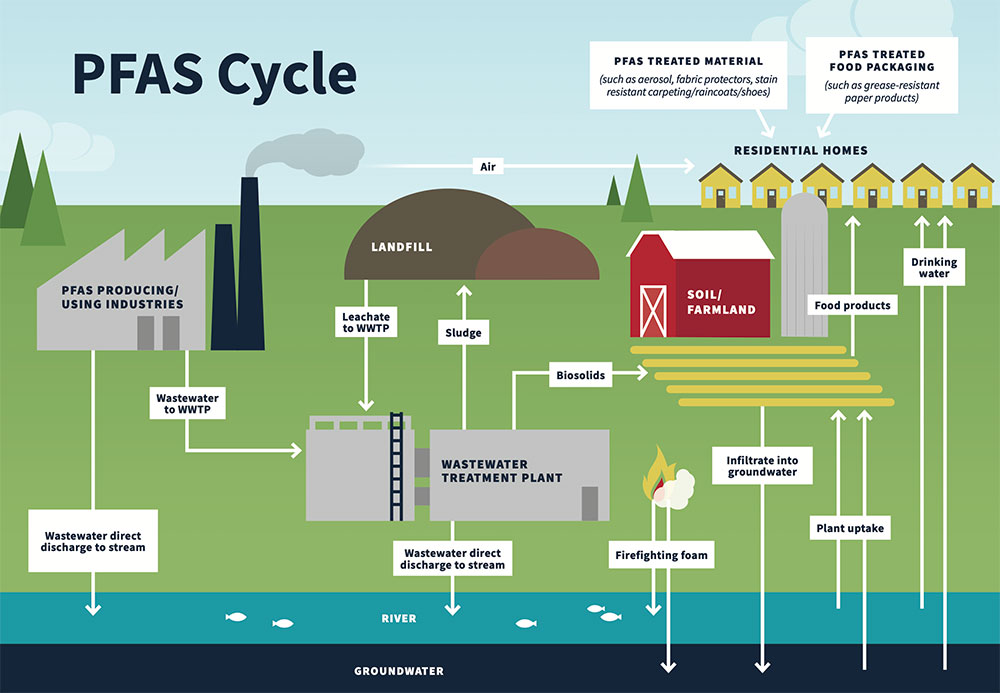 What are PFAS compounds and how can we test for them?