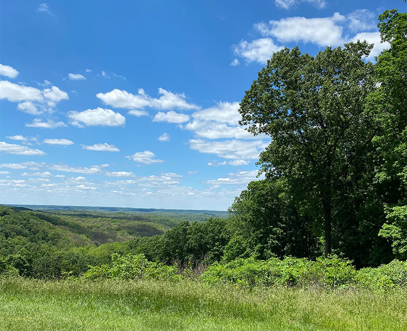 Grass and tree covered hills on sunny day in Brown County State Park, Indiana