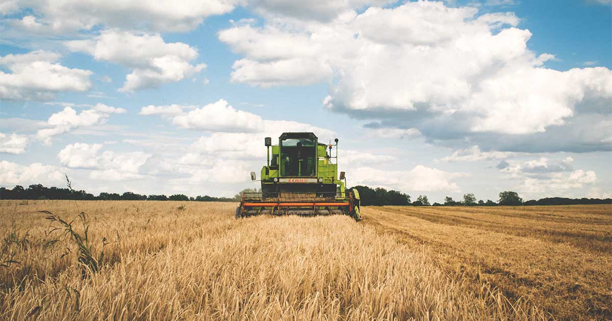 Tractor harvesting grains in field participating in agribusiness