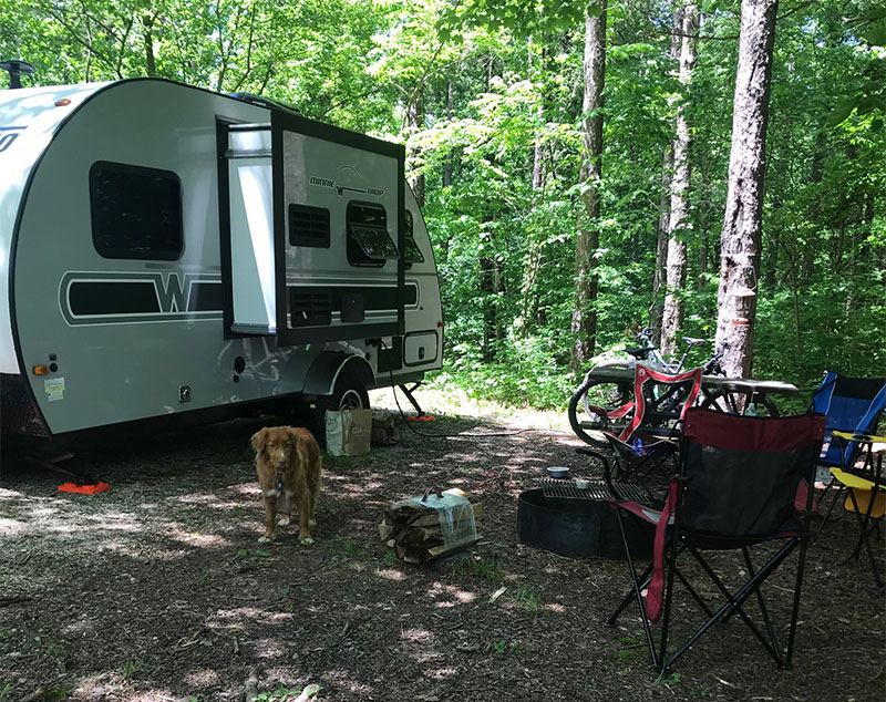Campsite in woods with camping trailer, dog, chairs, and fire wood.