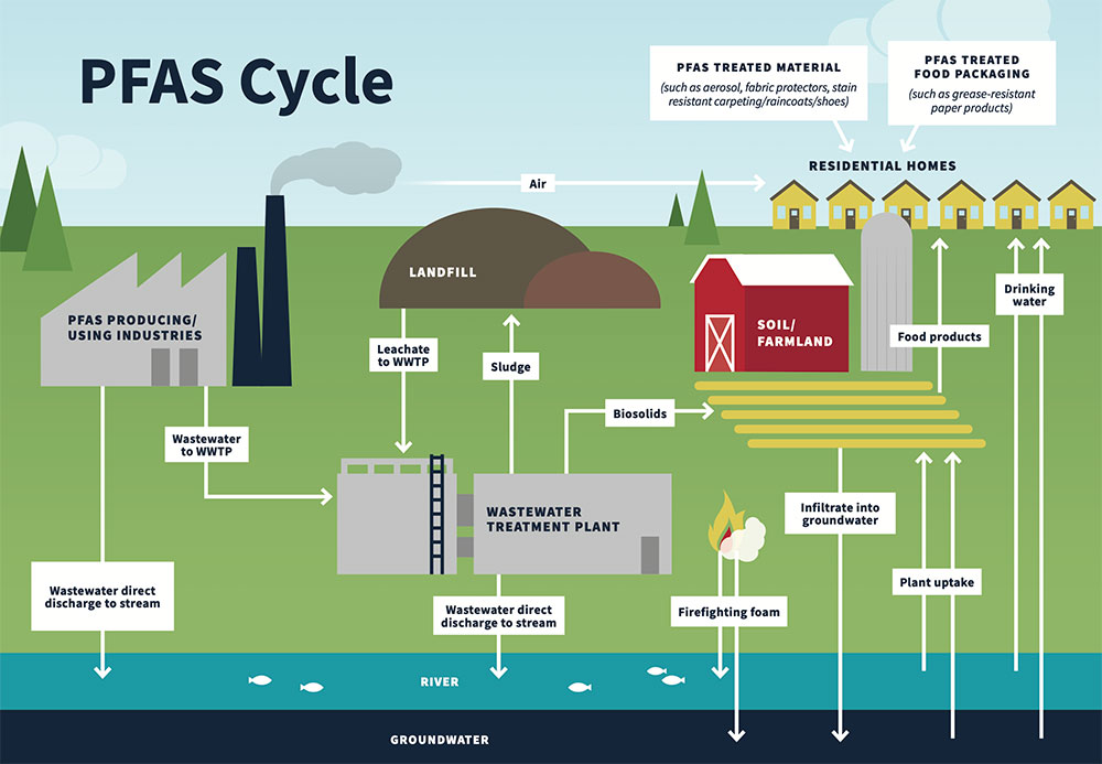 PFAS cycle showing the many different methods PFAS can enter a household through consumer products, food, and drinking water, and then into the environment.
