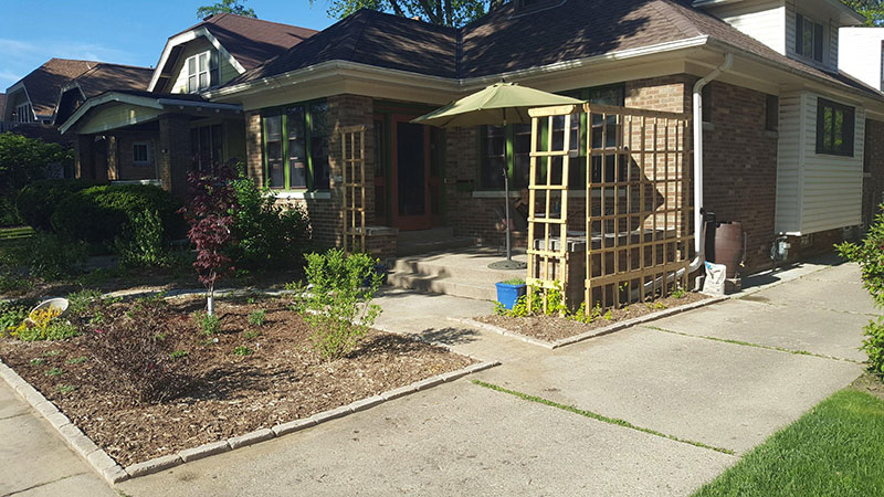 Grassless front lawn with native plants and ground cover in Wisconsin