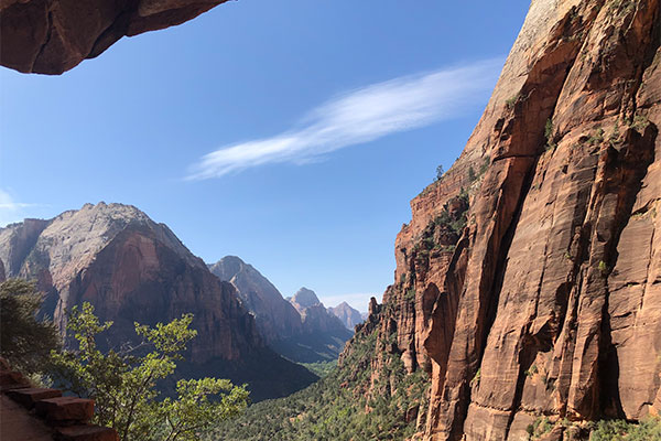 Picture of a green valley between red rock mountains in Zion National Park