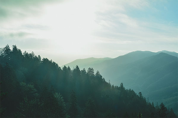 Picture of a tree-covered mountain with haze and sunlight in the Great Smoky Mountains National Park