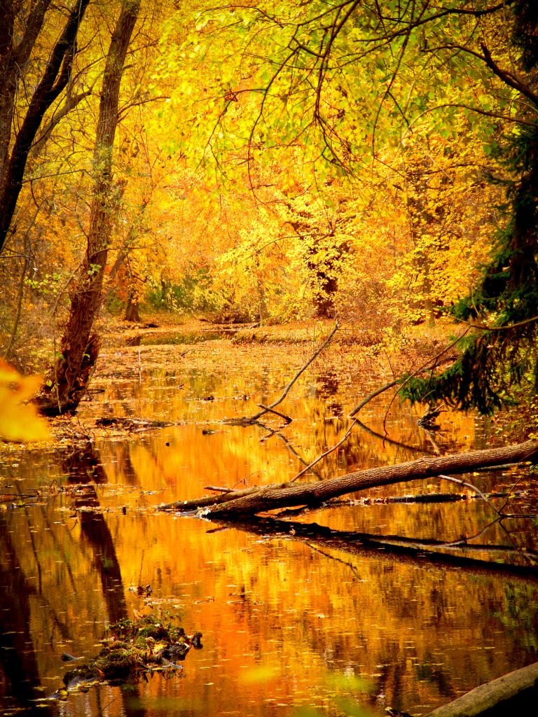 Groundwater Remediation to Exceed $14 billion in 2015