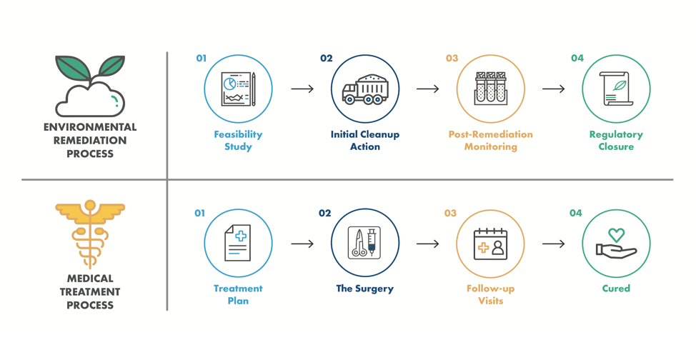 Infographic of the environmental remediation process and its analogous medical treatment process steps